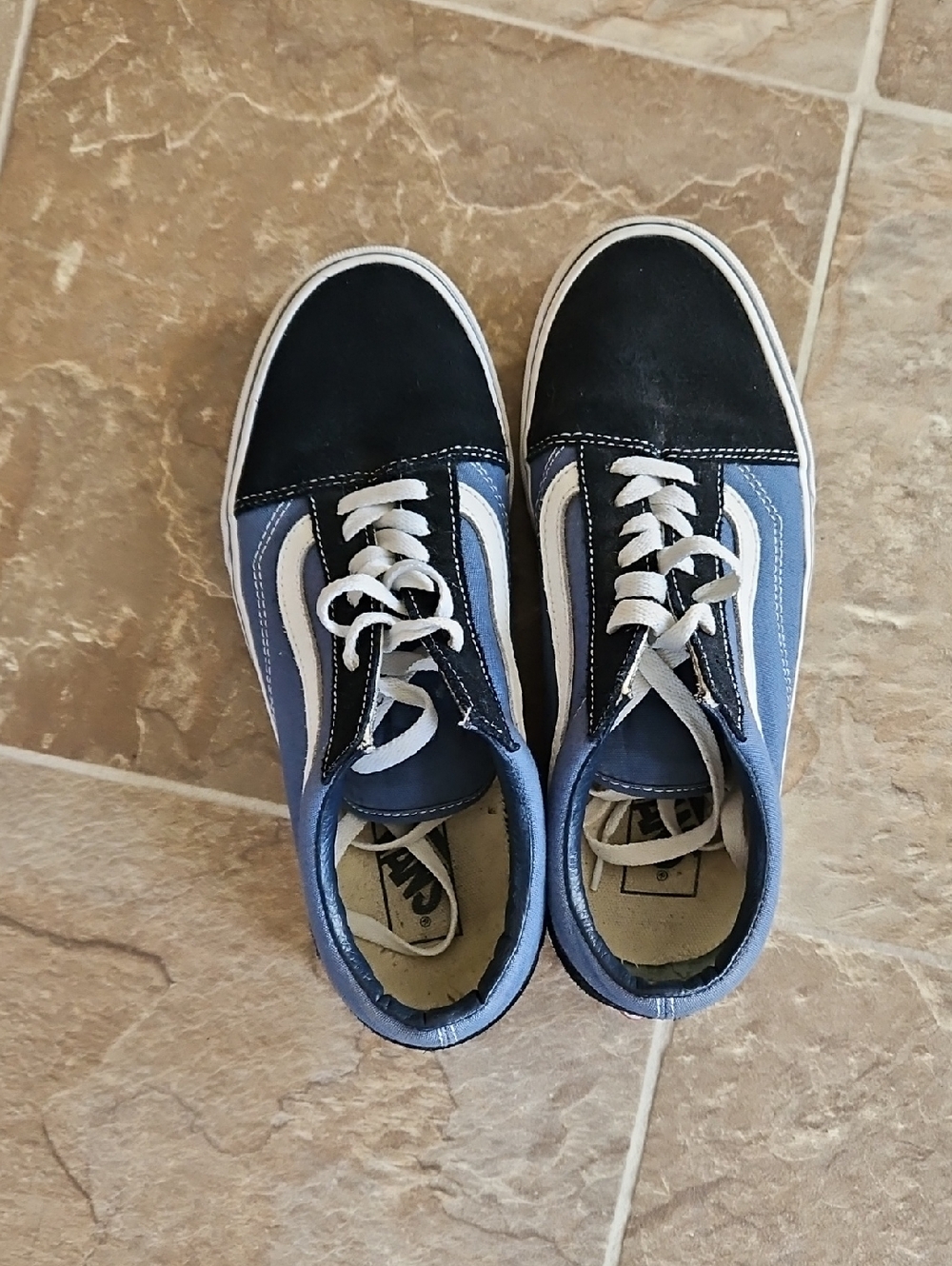 Vans Black & Blue Low-Top Sneakers with White Stripe